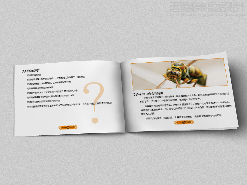 北京泰斗生物醫(yī)藥科技有限公司產品手冊設計之胡峰介紹內頁設計