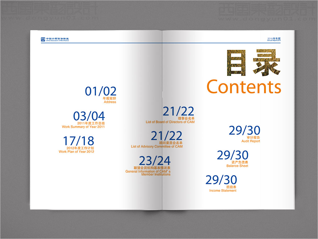 中國(guó)小額信貸聯(lián)盟年報(bào)設(shè)計(jì)之目錄頁(yè)設(shè)計(jì)