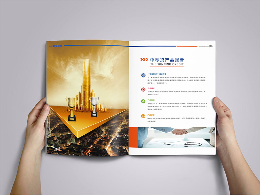 北京國信創(chuàng)新科技股份有限公司畫冊內(nèi)頁設計
