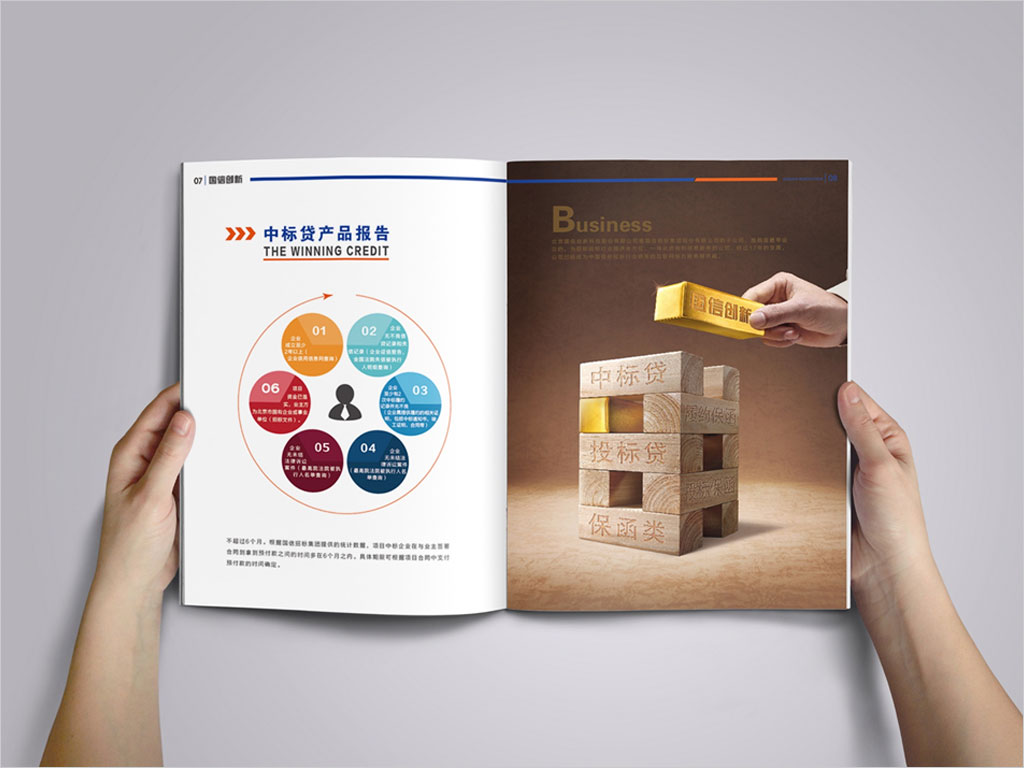 北京國信創(chuàng)新科技股份有限公司畫冊設計之中標貸產(chǎn)品報告內(nèi)頁設計