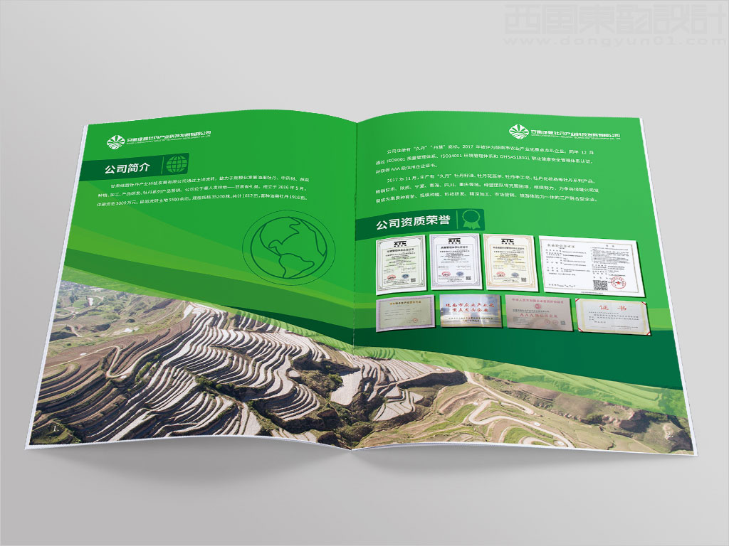甘肅綠盟牡丹產(chǎn)業(yè)科技發(fā)展有限公司畫冊設(shè)計之公司簡介資質(zhì)榮譽內(nèi)頁設(shè)計圖片