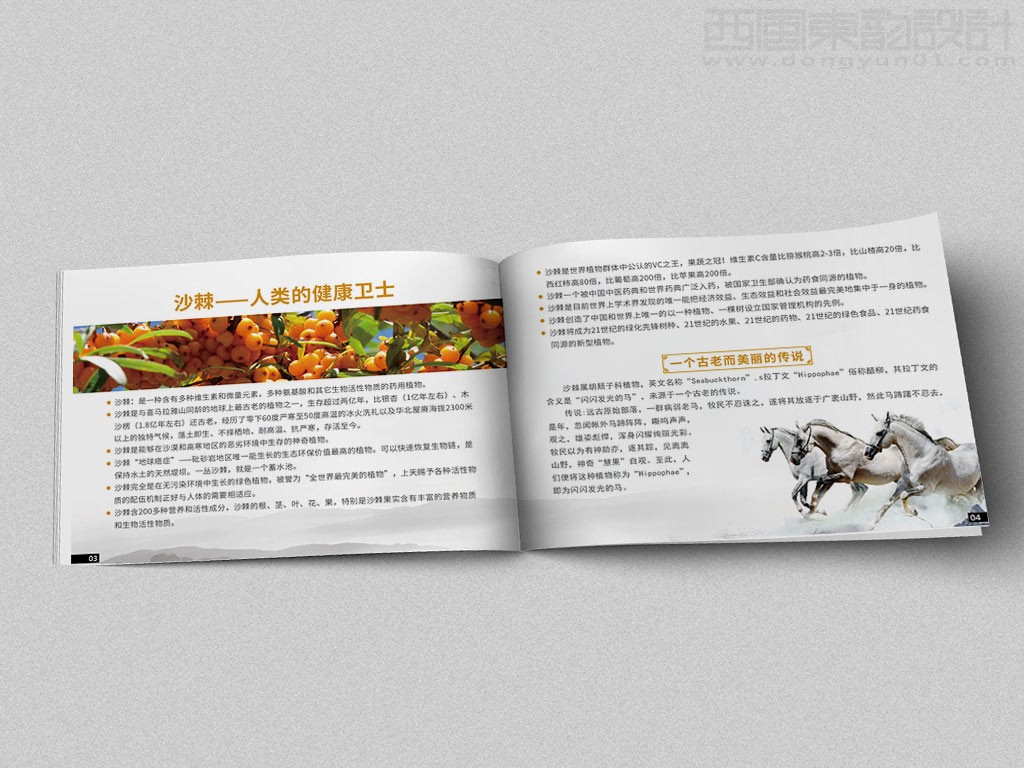 寧波市雷瑞商貿(mào)公司棘行天下產(chǎn)品手冊(cè)設(shè)計(jì)之沙棘人類的健康衛(wèi)士?jī)?nèi)頁(yè)設(shè)計(jì)