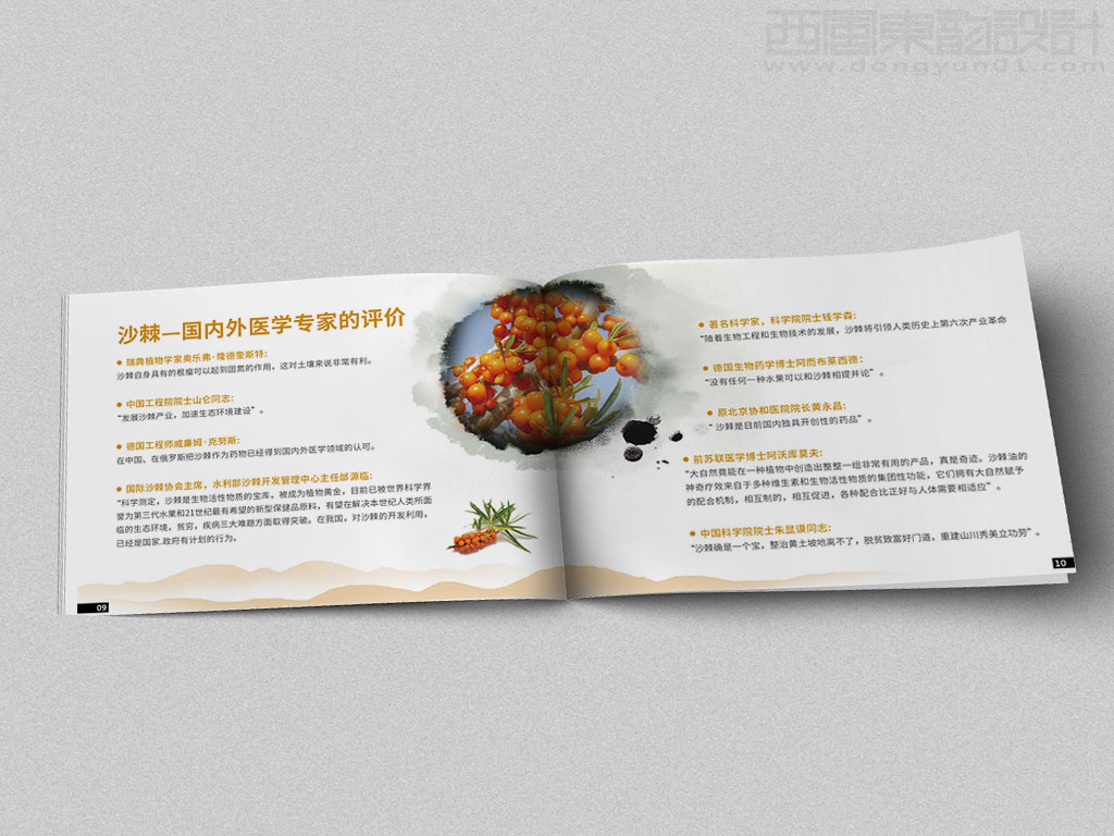 寧波市雷瑞商貿(mào)公司棘行天下產(chǎn)品手冊(cè)設(shè)計(jì)之國(guó)內(nèi)外醫(yī)學(xué)專家的評(píng)價(jià)內(nèi)頁(yè)設(shè)計(jì)