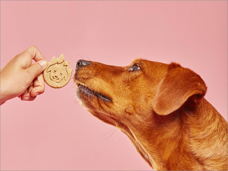 Hot Hounds 另類(lèi)寵物食品包裝設(shè)計(jì)之產(chǎn)品實(shí)物照片