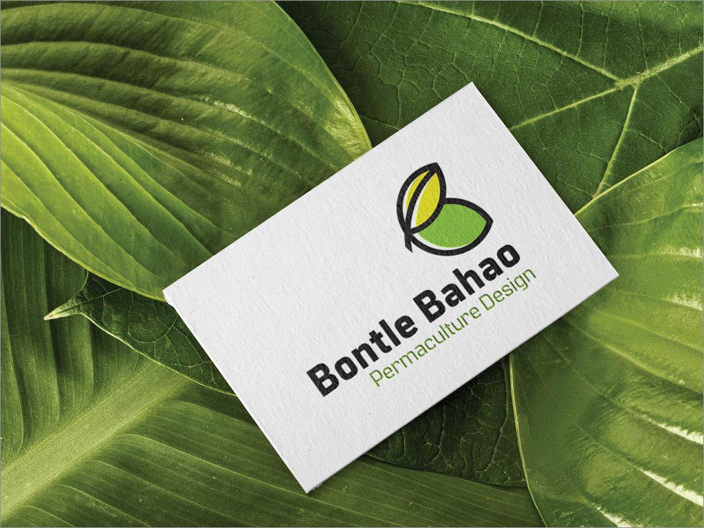  津巴布韋Bontle Bahao農業(yè)公司品牌形象設計之名片設計