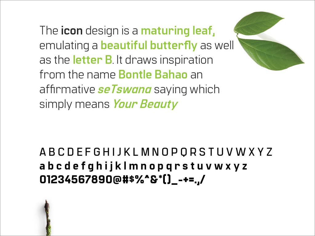  津巴布韋Bontle Bahao農業(yè)公司品牌形象設計之logo圖形理念詮釋