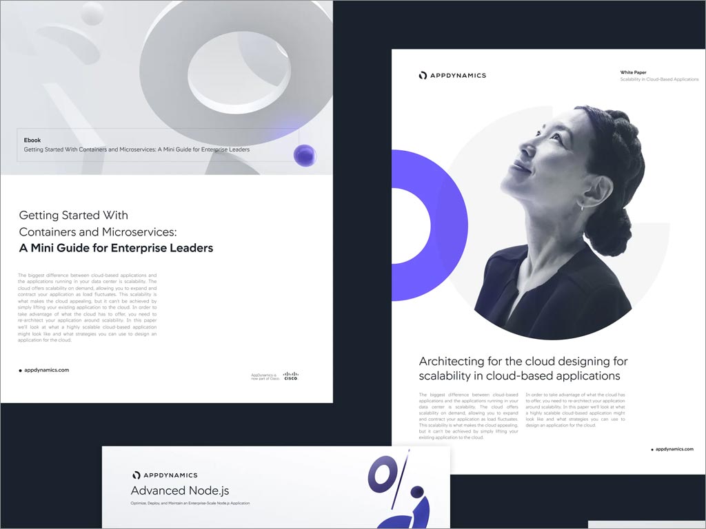 AppDynamics軟件公司品牌形象vi設計之網(wǎng)站頁面設計