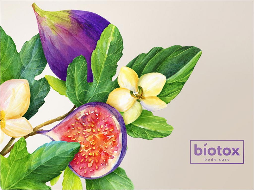 俄羅斯Biotox身體護(hù)理產(chǎn)品包裝設(shè)計(jì)之無花果插畫設(shè)計(jì)