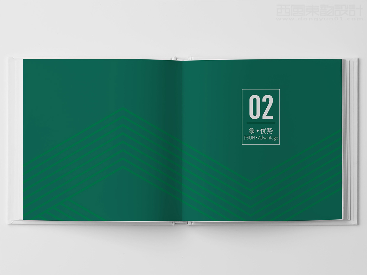 山東日照大象房屋建設(shè)公司畫冊(cè)設(shè)計(jì)之優(yōu)勢版塊形象頁設(shè)計(jì)
