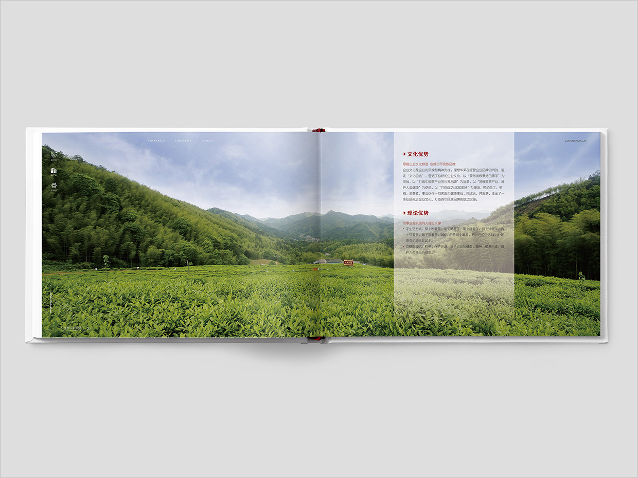 理想華萊科技集團(tuán)公司畫冊設(shè)計(jì)之文化優(yōu)勢頁面設(shè)計(jì) 理想華萊科技集團(tuán)公司畫冊設(shè)計(jì)之文化優(yōu)勢頁面設(shè)計(jì)
