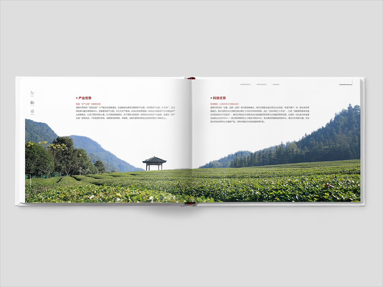 理想華萊科技集團(tuán)公司畫冊設(shè)計(jì)之產(chǎn)業(yè)優(yōu)勢頁面設(shè)計(jì) 理想華萊科技集團(tuán)公司畫冊設(shè)計(jì)之產(chǎn)業(yè)優(yōu)勢頁面設(shè)計(jì)