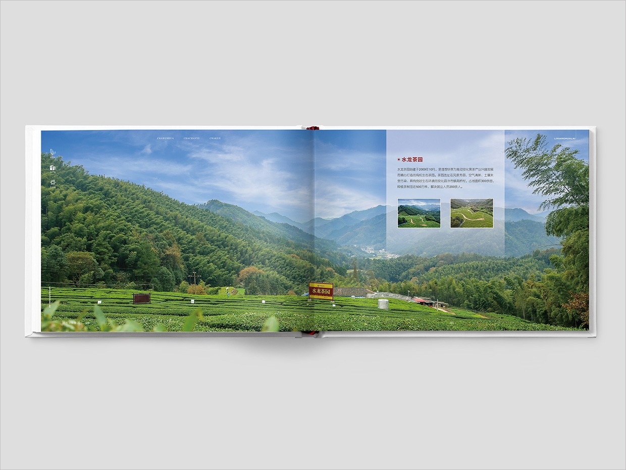 理想華萊科技集團(tuán)公司畫冊設(shè)計(jì)之水龍茶園頁面設(shè)計(jì) 理想華萊科技集團(tuán)公司畫冊設(shè)計(jì)之水龍茶園頁面設(shè)計(jì)