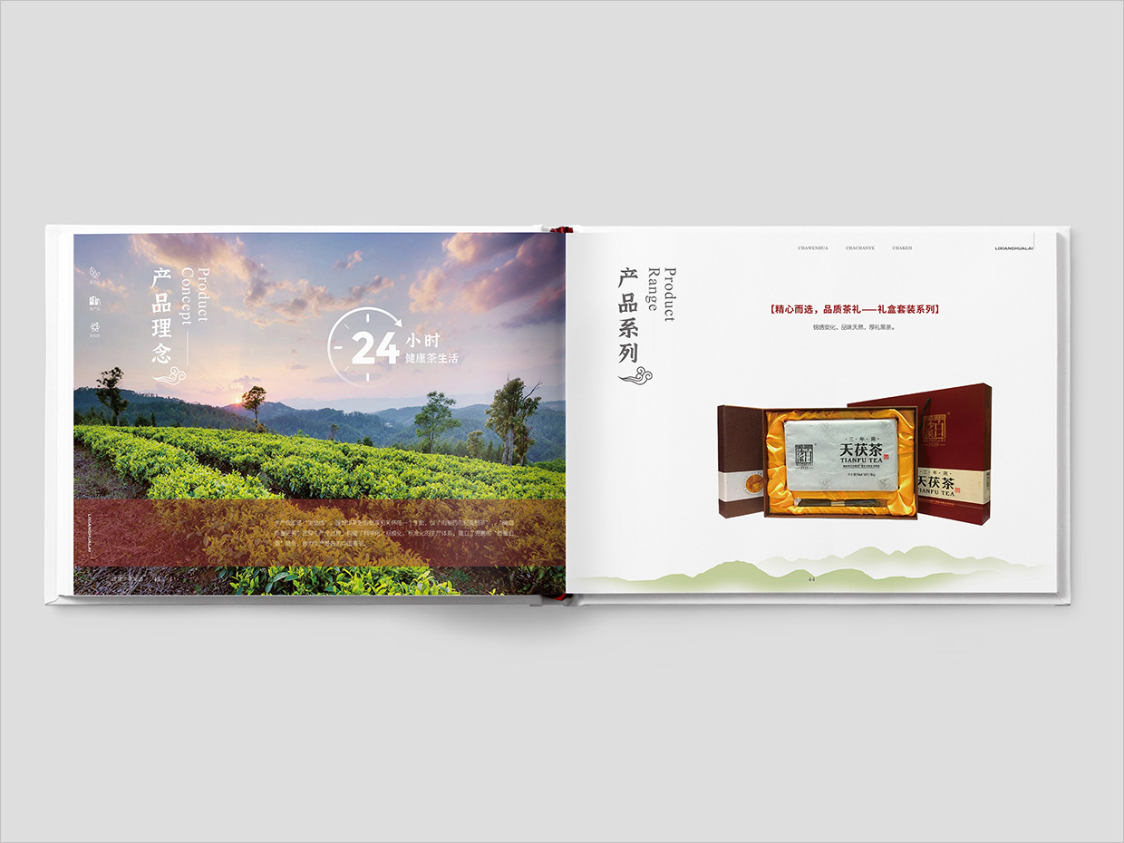 理想華萊科技集團(tuán)公司畫冊設(shè)計(jì)之產(chǎn)品介紹頁面設(shè)計(jì) 理想華萊科技集團(tuán)公司畫冊設(shè)計(jì)之產(chǎn)品介紹頁面設(shè)計(jì)